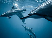 开云体育：让热爱成为行动的力量